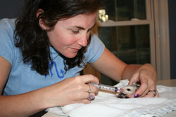 Louisville Wildlife Rehabilitator, Brigette Williams